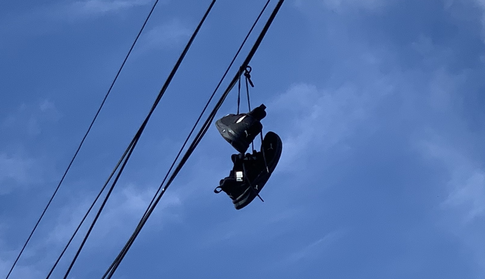 電線にかかる靴